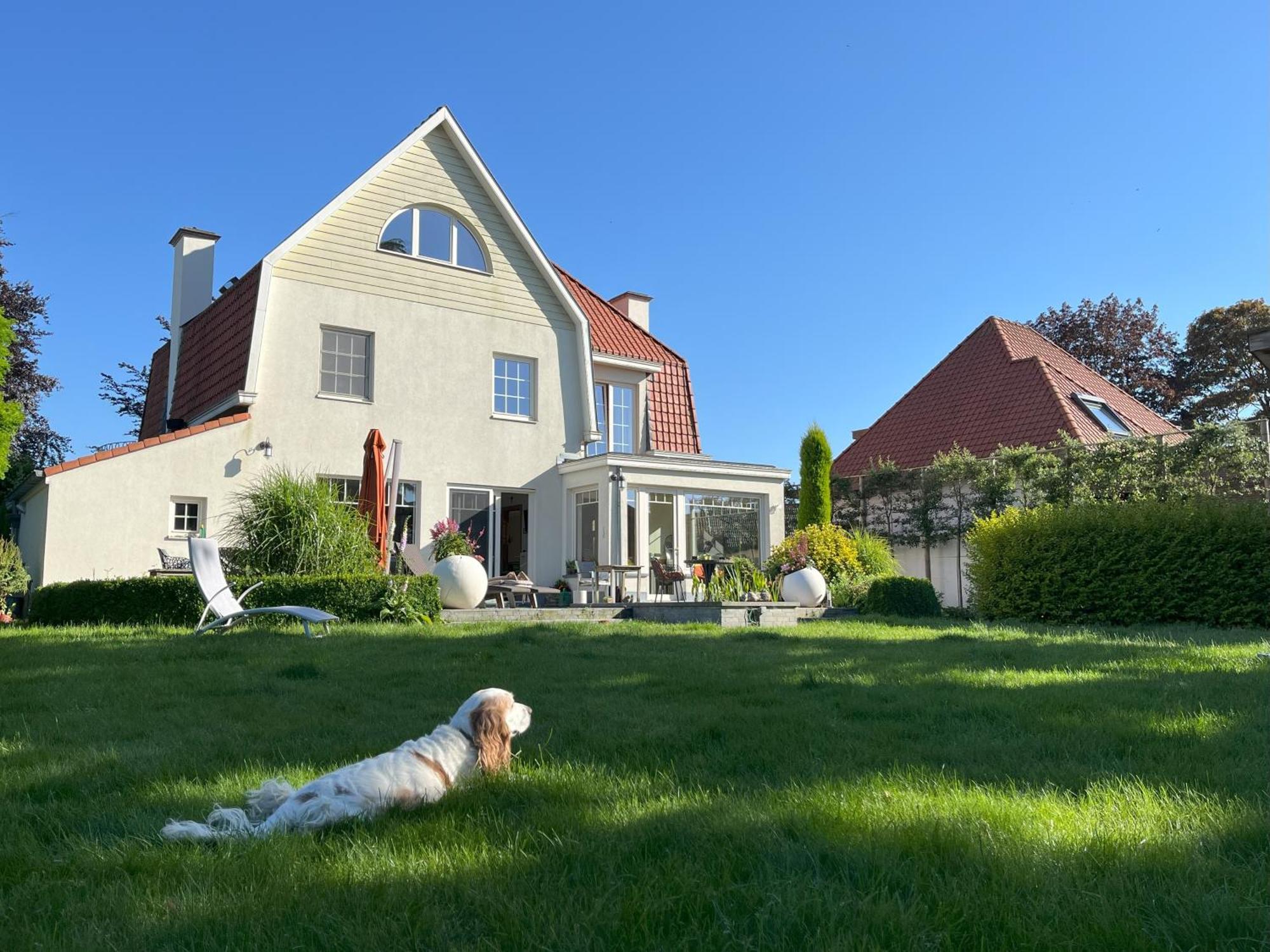 Cedrus Bed and Breakfast Jabbeke  Eksteriør billede
